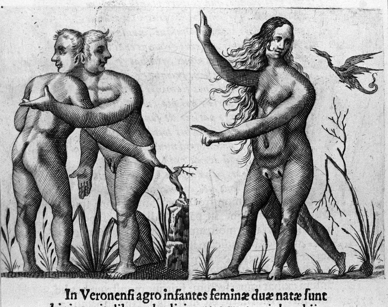 Různé typy lidských monster: muž s dvojitými těly a hlavami a žena se čtyřmi nohami a dvěma pohlavími. Rytina z „De monstrorum natura, causis et differentiis“ od Fortunia Licetiho (1577-1656), italského vědce. 1646 od Italian School
