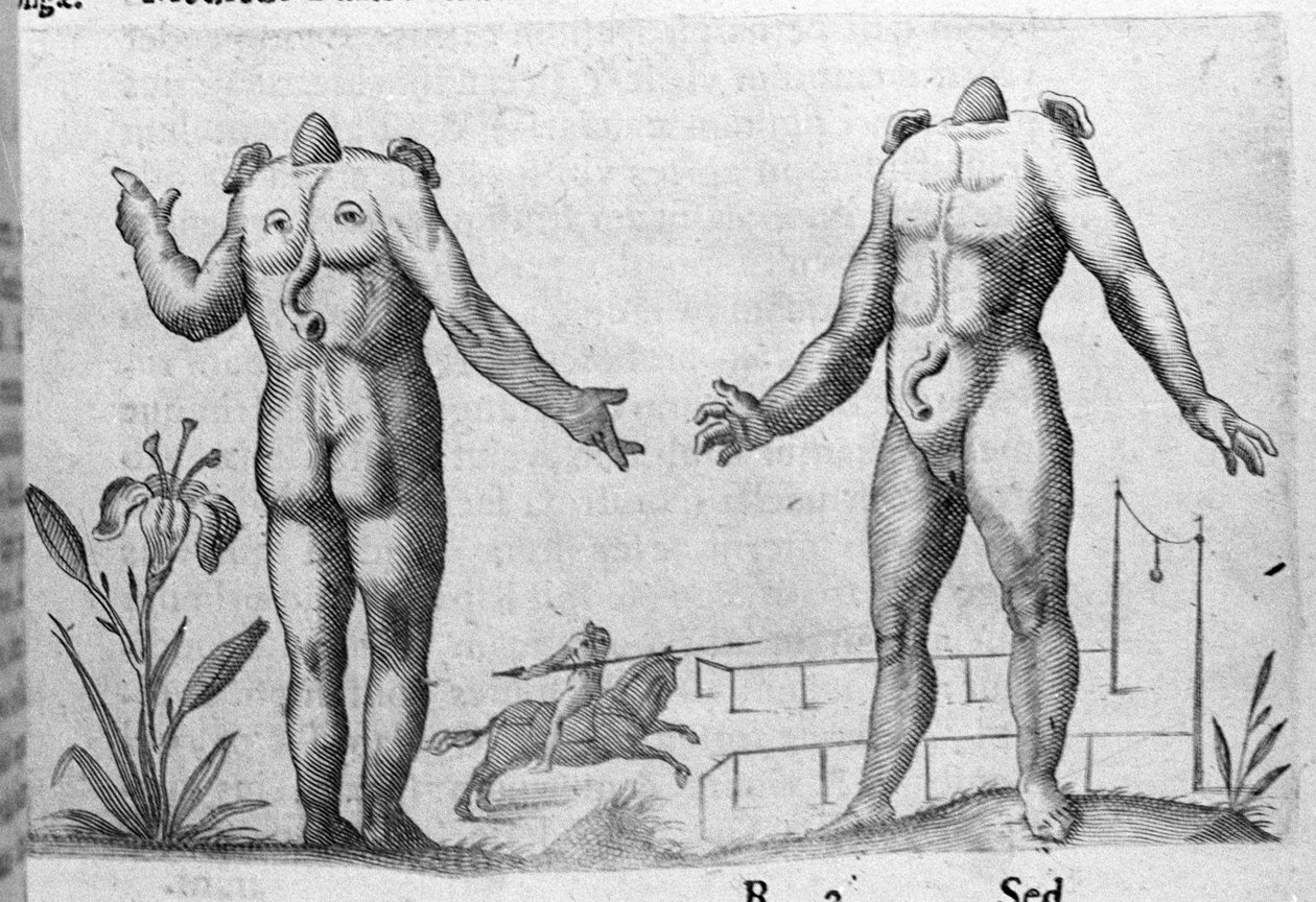 Různé typy lidských monster: muž bez hlavy. Rytina z "Povaha příšer, jejich příčiny a rozdíly" od Fortunia Ačkoliiho (1577-1656), italského vědce. 1646 od Italian School