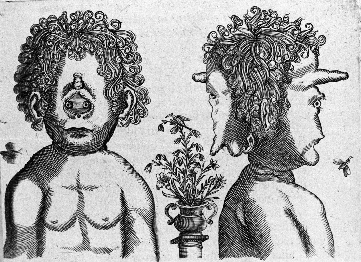 Různé typy lidských monster: tvář a tvář hlavy monster. Rytina z "Povaha příšer, jejich příčiny a rozdíly" od Fortunia Ačkoliiho (1577-1656), italského vědce. 1646 od Italian School