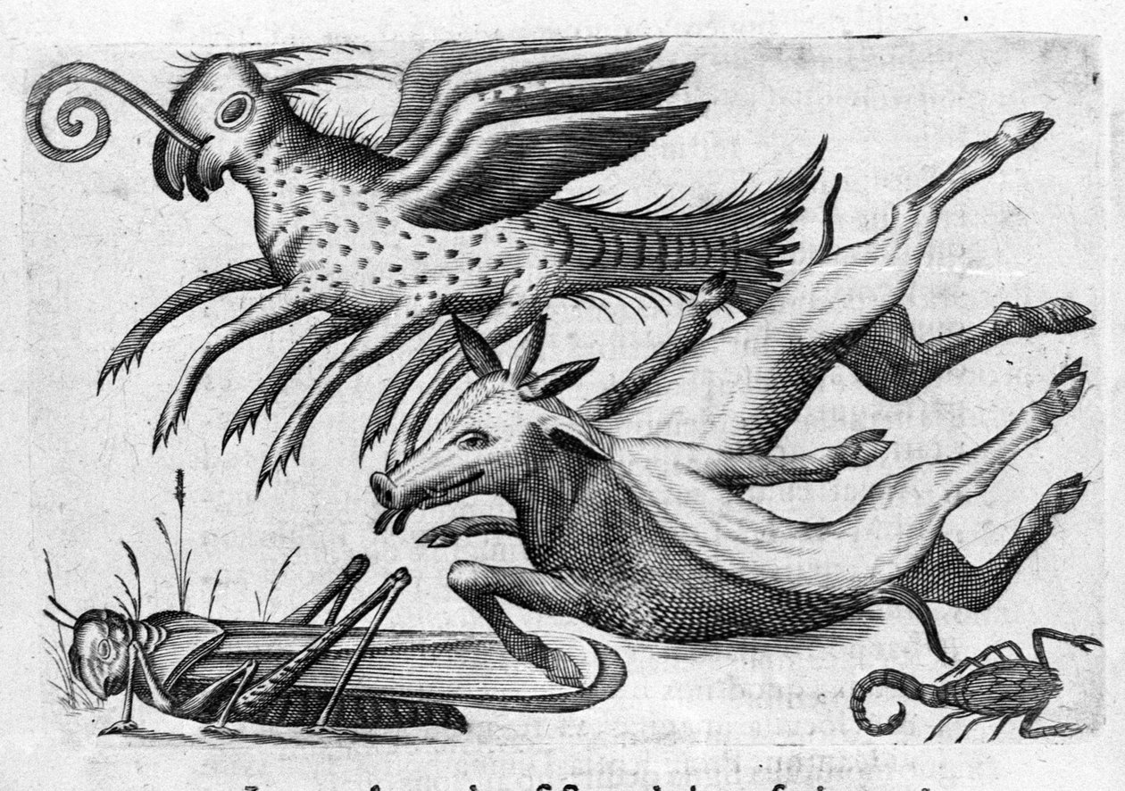 Různé druhy monstrózních zvířat. Rytina z "Povaha příšer, jejich příčiny a rozdíly" od Fortunia Ačkoliiho (1577-1656), italského vědce. 1646 od Italian School