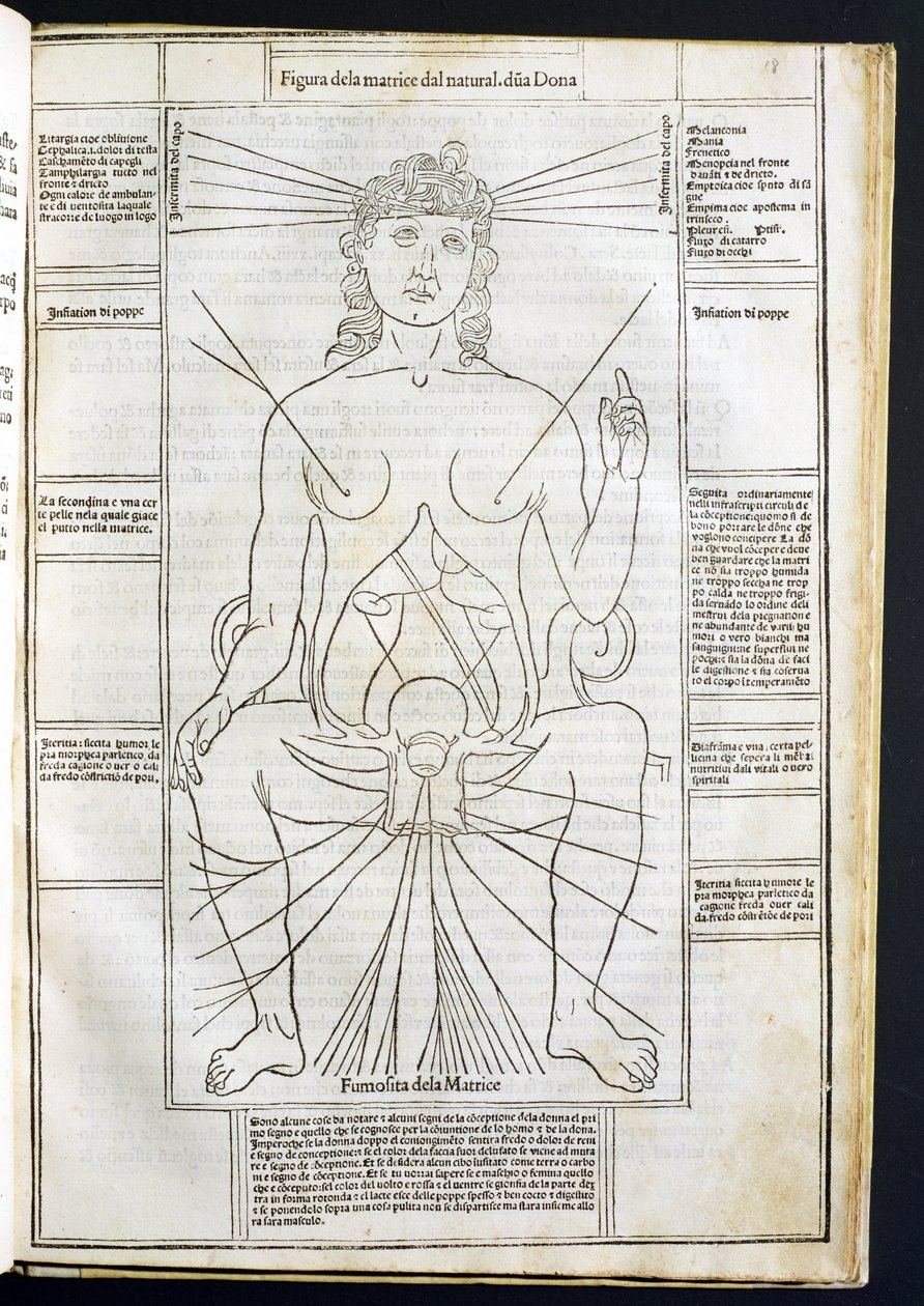 Ženská anatomie z Fasciculus Medicinae od Johannese de Ketham (d.c.1490) c.1507 od Italian School