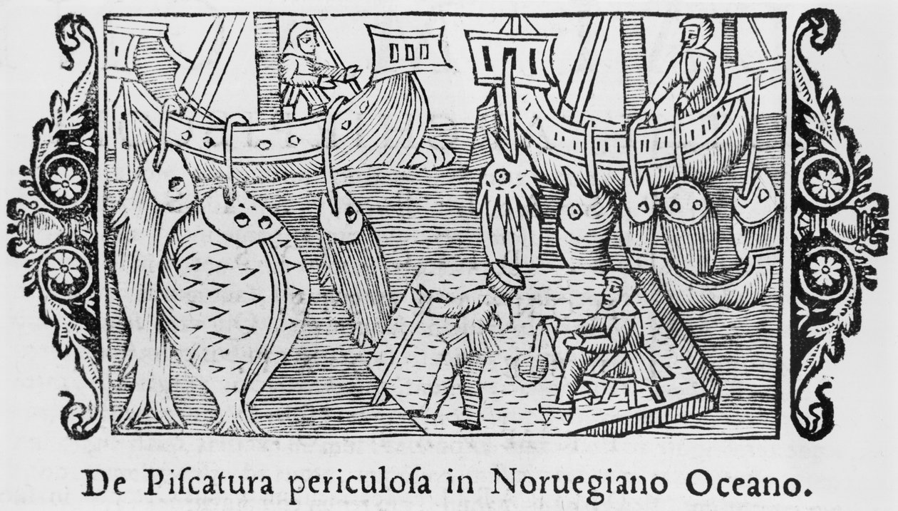 Rybolov v norském oceánu, ilustrace z Historie severních národů od Olause Magnuse (1490-1558), vydaná v Římě, 1555 od Italian School