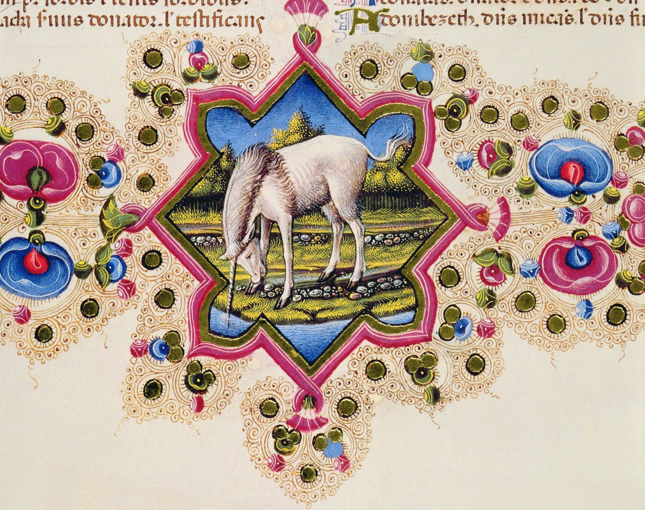 Fol.245V Jednorožec, z Bible Borso d
