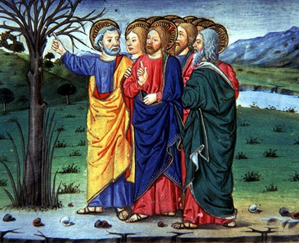 Fol.63r Petr ukazuje Kristu na uschlý strom (vellum) od Italian School