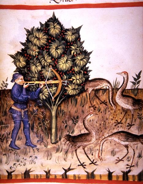 Fol.70v Hunting Crane, ilustrace z 