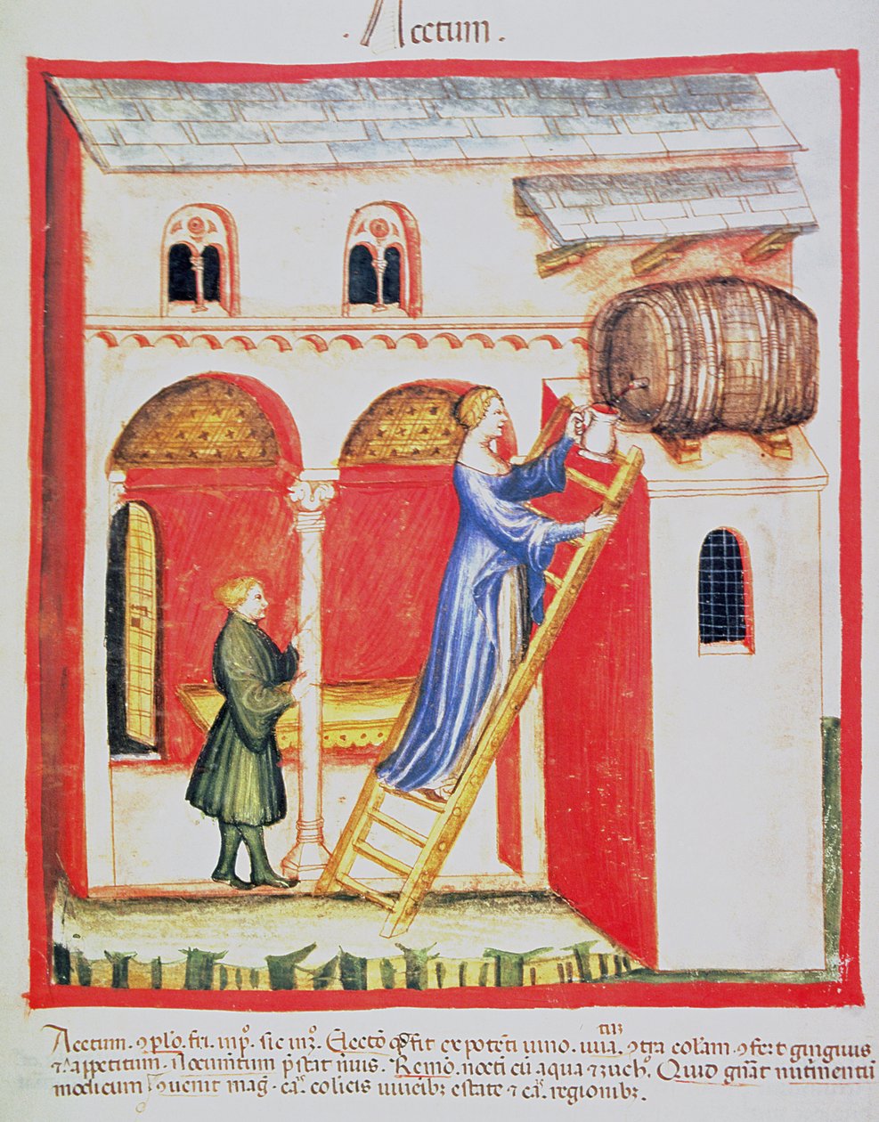Fol.85v Ocet, ilustrace z Tacuinum Santiatis Codex Vindobonensis od Italian School