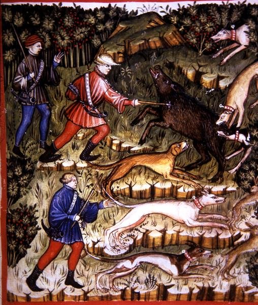 Fol.96r Lovecká zvířata, ilustrace z 