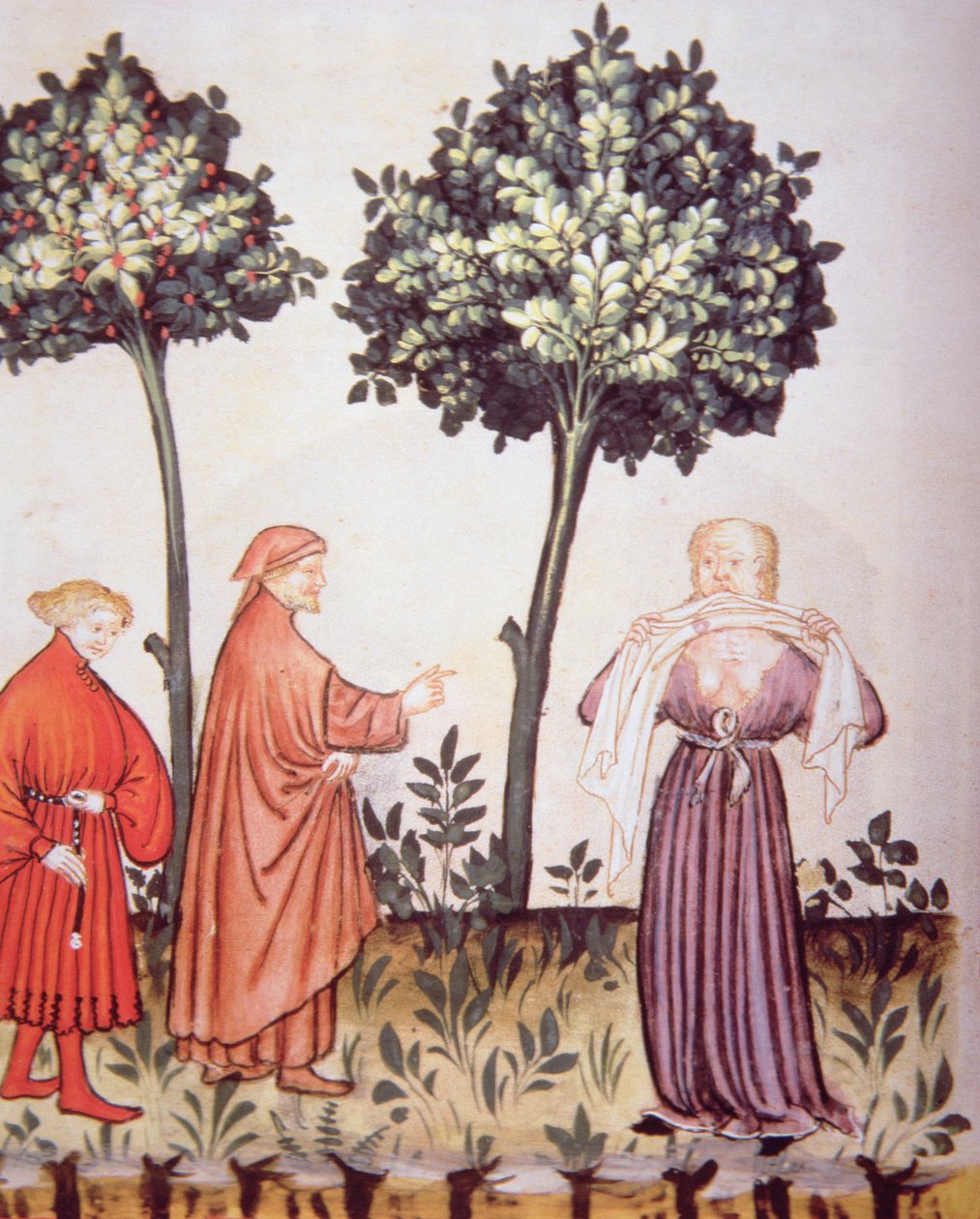 Fol.98v Cholera, ilustrace z Tacuinum Santiatis Codex Vindobonensis od Italian School