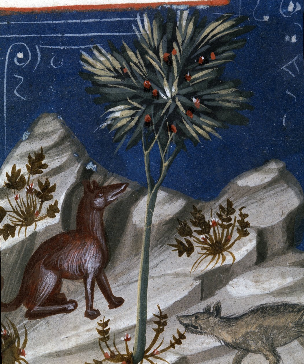 Liška a vlk, ilustrace z "Codex Justianus", 1350 od Italian School