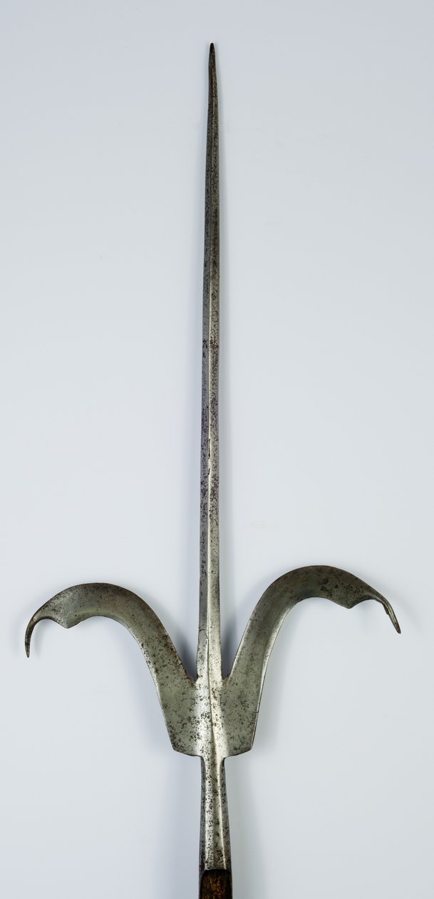 Friuli Spear, cca 1600 (ocel a dřevo) od Italian School