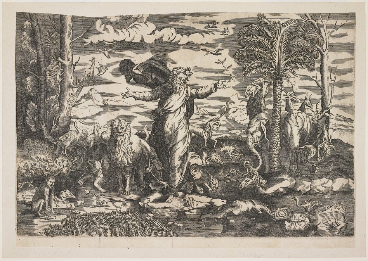 Bůh stvořil zvířata, kolem roku 1550 od Italian School