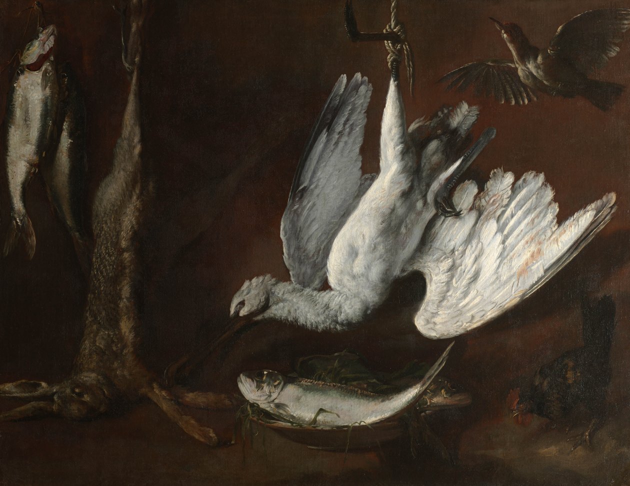 Zajíc, Spoonbill a Fish, polovina 1600s od Italian School