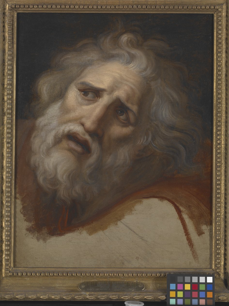 Head Of Laocoon (olej na plátně) od Italian School