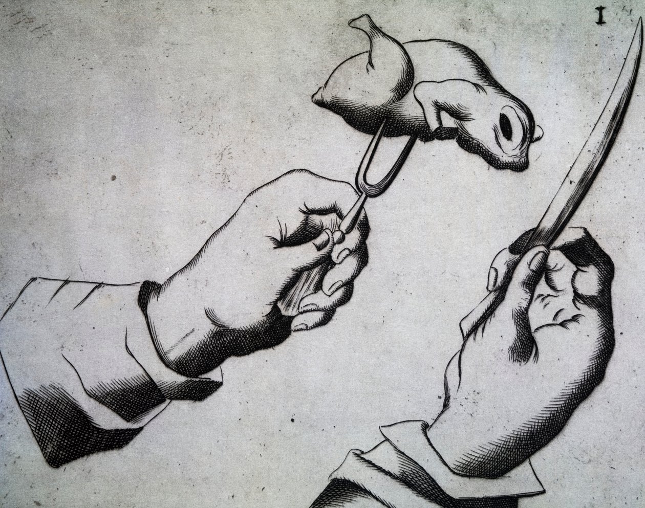 Jak sekat ptáka, ilustrace ze Tří pojednání Messer Bavorský Bavor Mattia Giegher, Skartovač nejslavnějšího německého národa v Padově, Itálie od Italian School