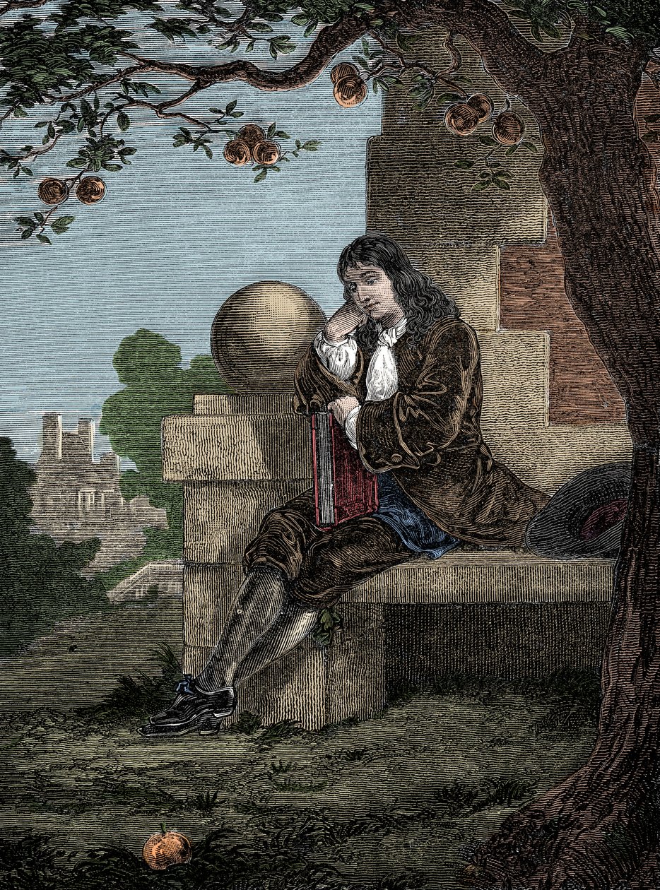 Isaac Newton pozoroval, jak jablko padá na zem, zatímco sedí pod stromem od Italian School