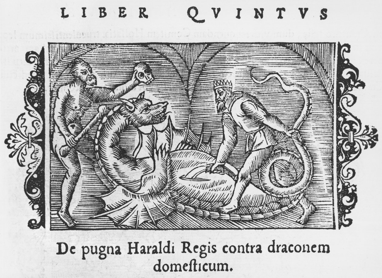 Král Harald bojující s drakem, ilustrace z Historie severních národů od Olause Magnuse (1490-1558), vydaná v Římě, 1555 od Italian School