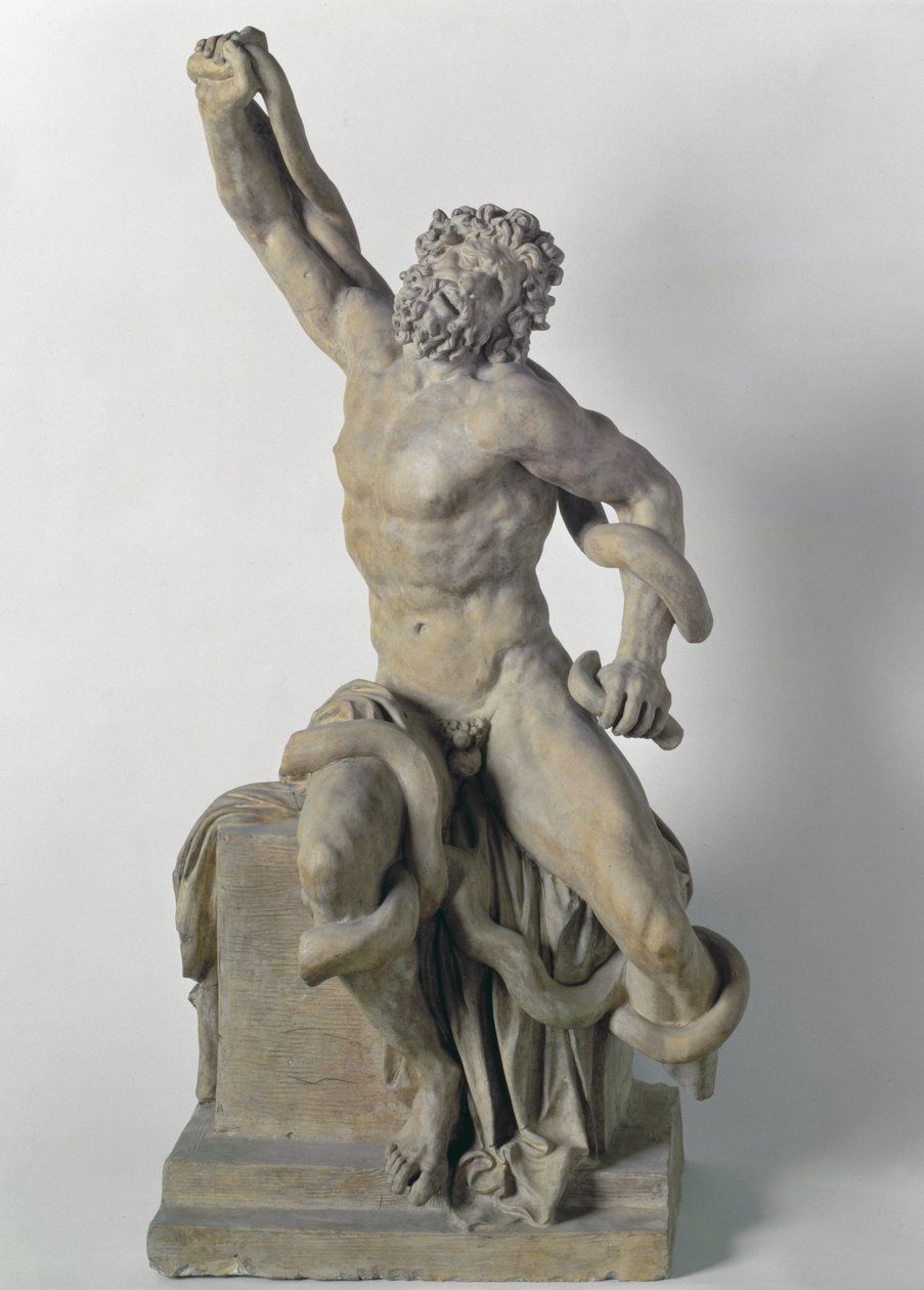 Skupina Laocoon bez synů od Italian School
