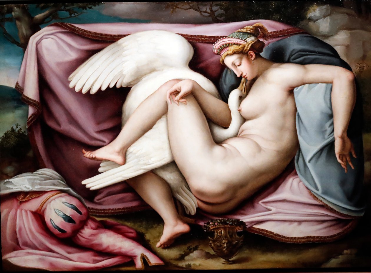 Leda a labuť. římský malíř 1550. Janov. Itálie. od Italian School