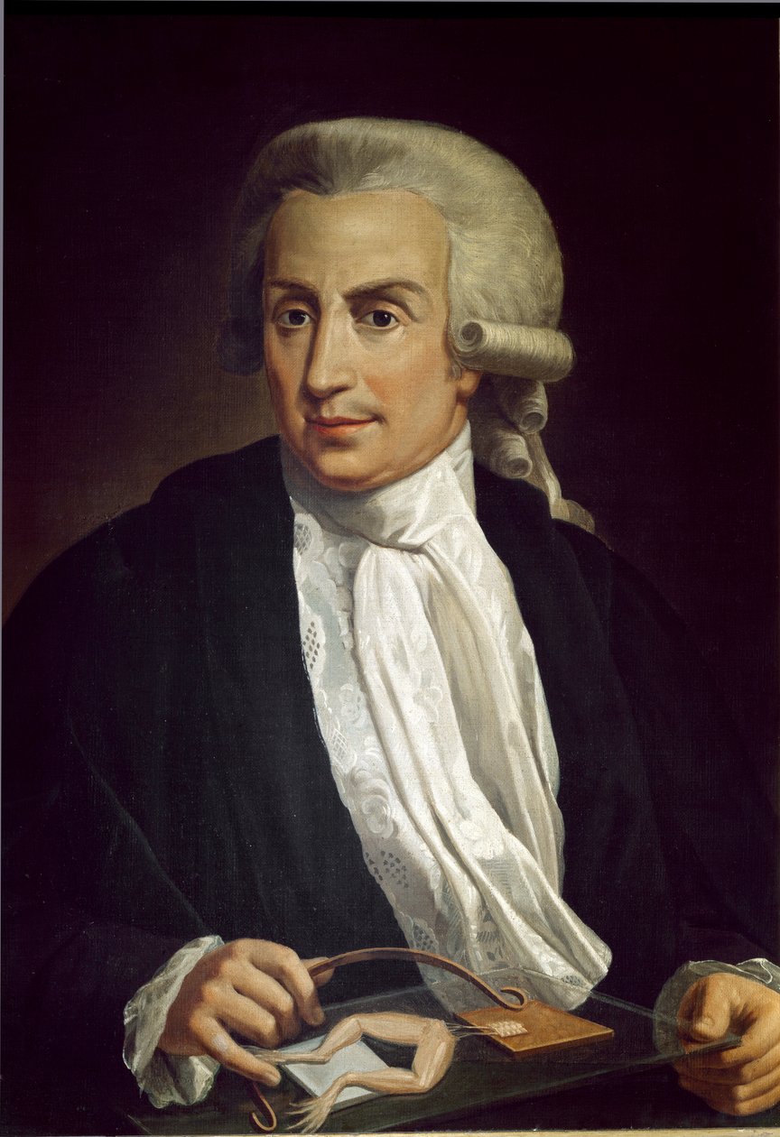 Luigi Galvani s exemplářem žáby od Italian School