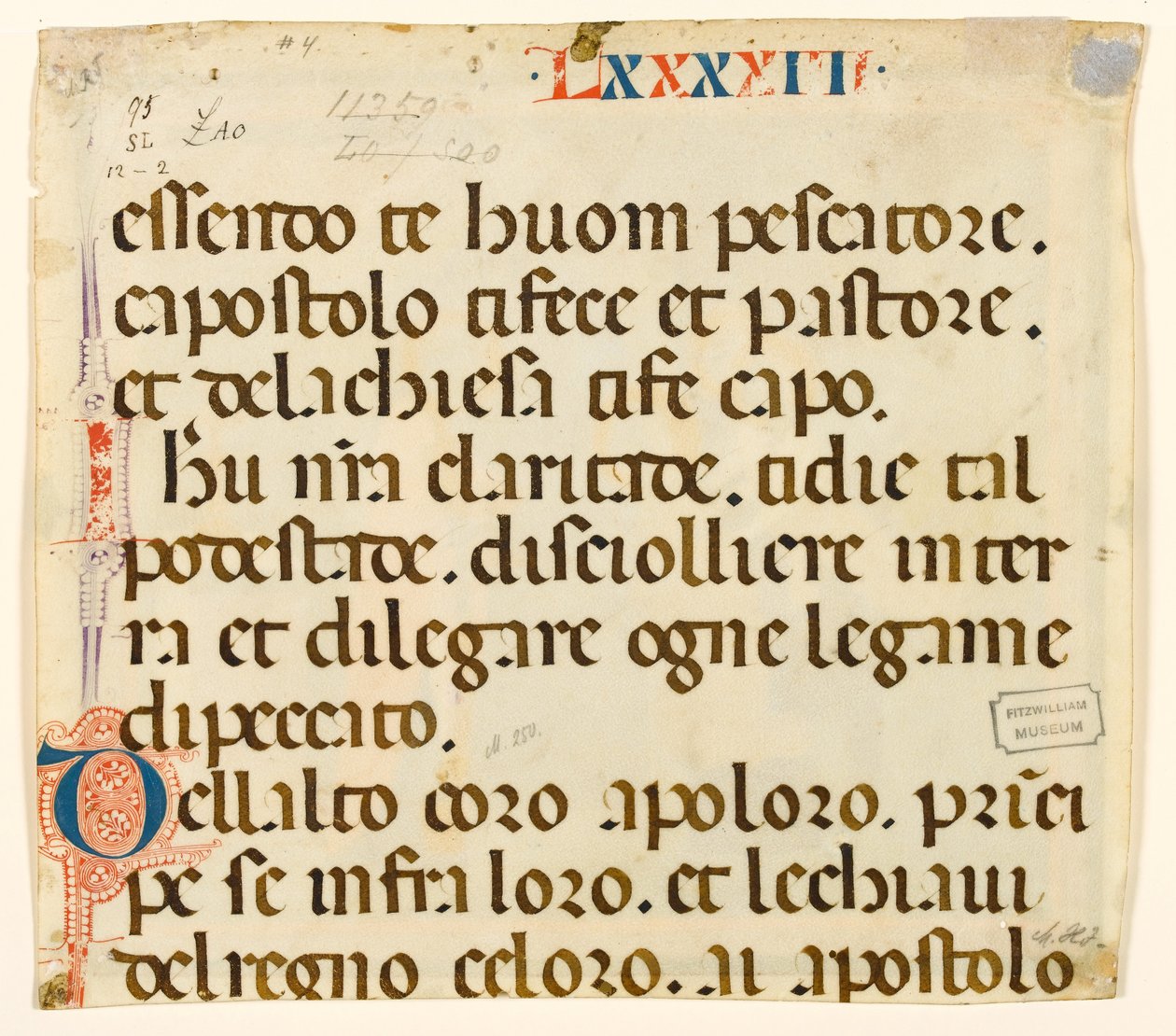 MS McClean folio 201.4 v Lauda pro svatého Petra od Italian School