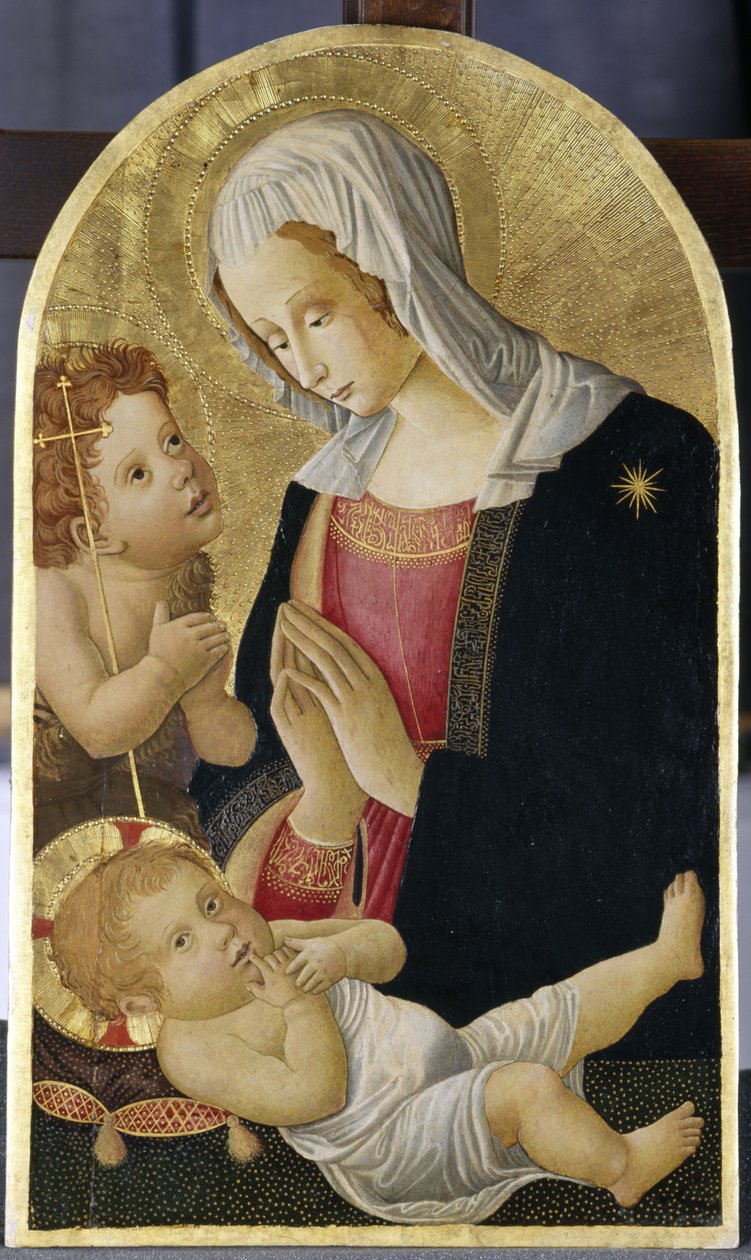 Madona a dítě s Janem Křtitelem, kolem roku 1460 (tempera na topolovém dřevě) od Italian School