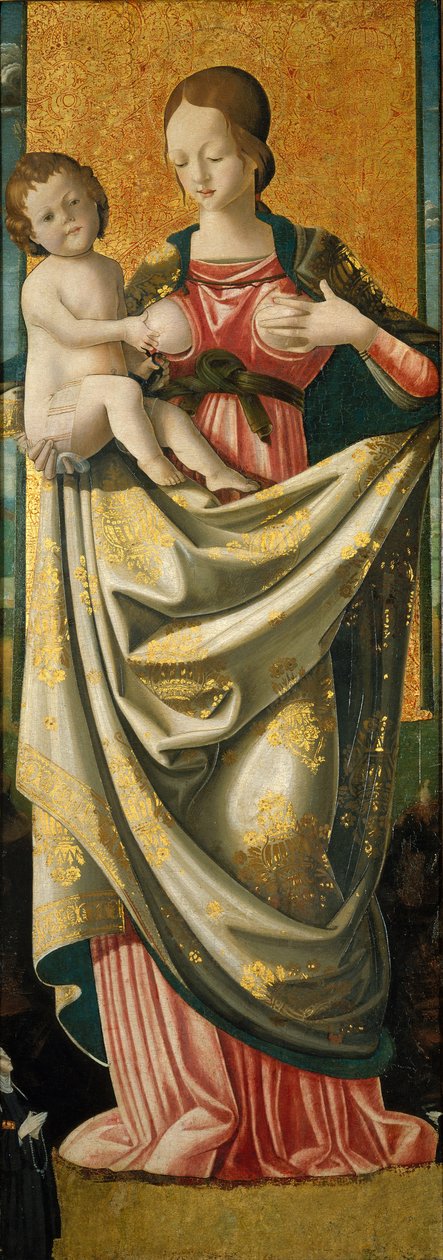 Madonna del Suffragio, cca 1520 (tempera na desce z tvrdého dřeva) od Italian School
