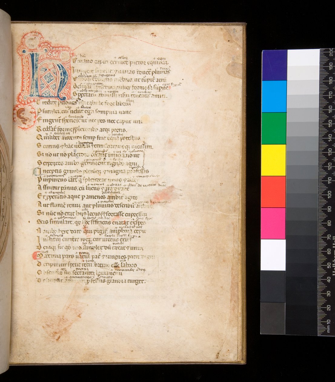 Ms 315. Horác, Ars Poetica a Epistulae, f.1r. Zdobená iniciála [N] v modré a červené plenkové výplni a okolní pero v červené barvě od Italian School