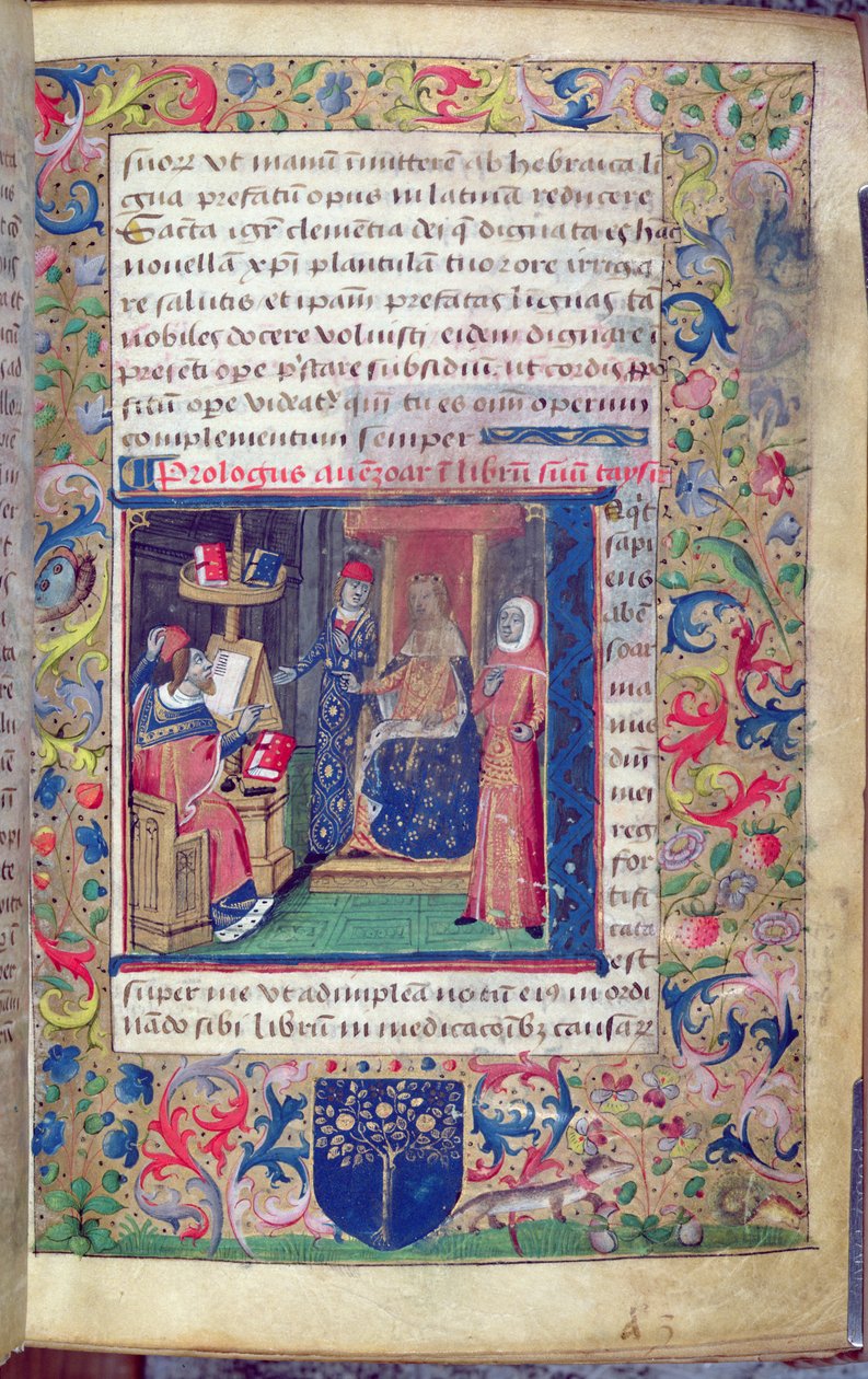 Ms 5113 Prezentace Jana z Capua (fl. 1262) svému patronovi jeho překladu do latiny „Al-Taisir“, pojednání o nemocech od Ibn Zuhra (Avenzoar) (1091-1161) (vellum) od Italian School