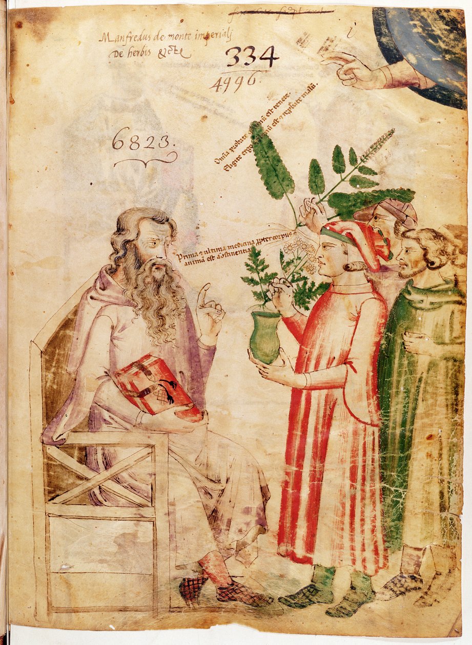 Paní Lat 6823 fol.1 Muži představující rostliny neznámému muži, z De Herbis od Manfreduse de Monte Imperiali od Italian School