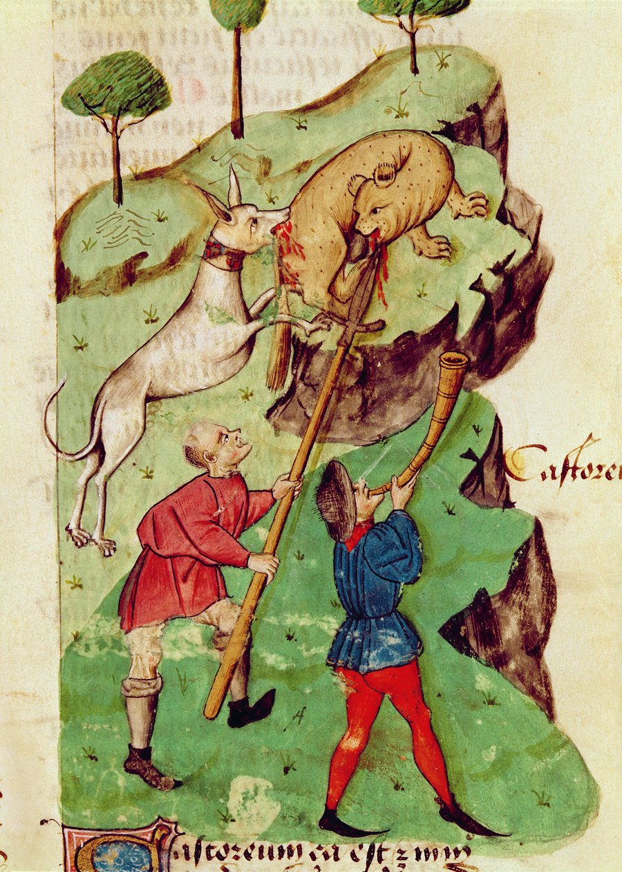 Paní Lat 993 fol. 35r The Hunt, z 