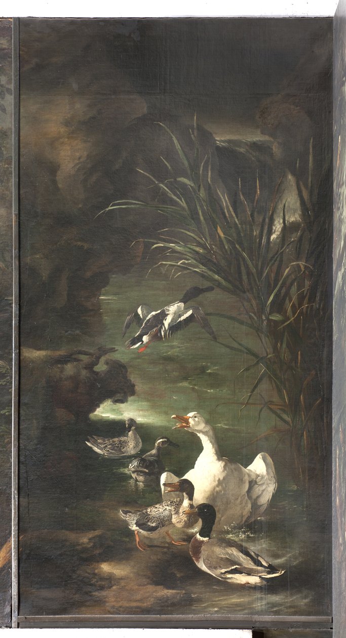 Mýtus o Orfeovi: labuť a kachny, kolem 1650-60 od Italian School