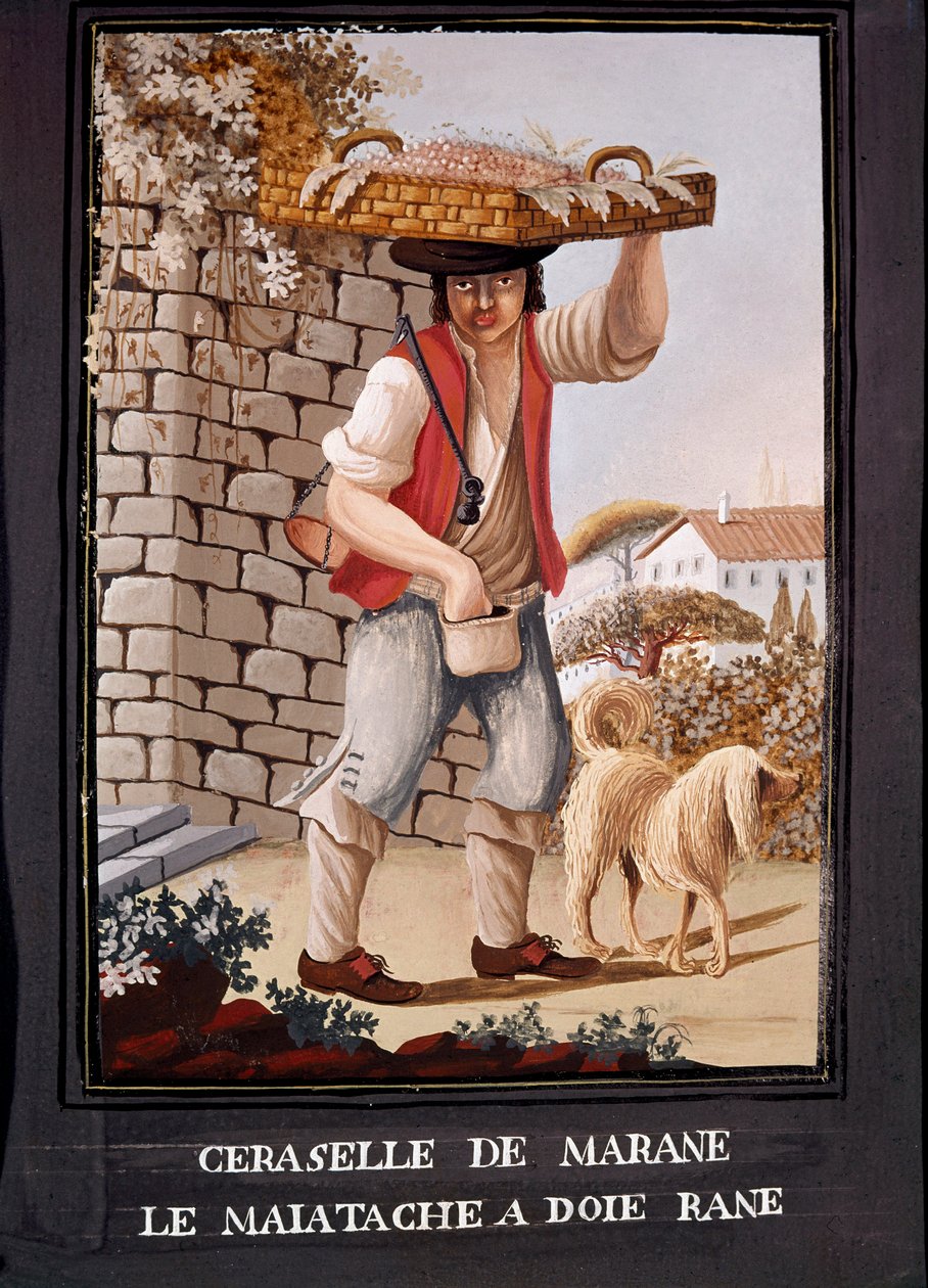 Neapolský Metiers: Prodejce třešní z Marascy - Neapolské Museo Nazionale di San Martino od Italian School