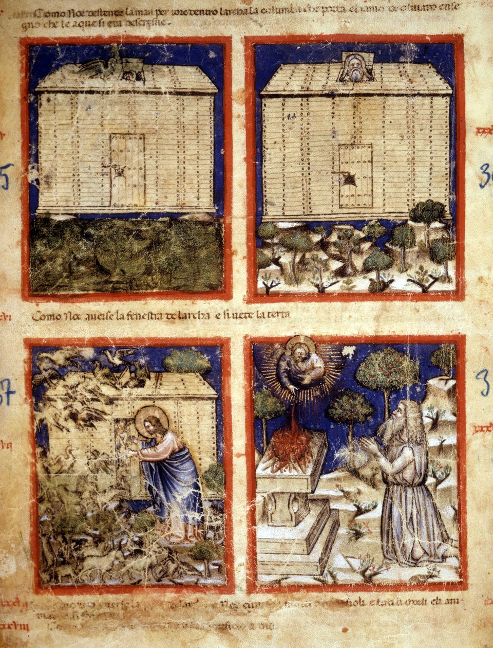 Noemova archa, miniatura převzatá z kodexu 212 (nebo Padovano Codice nebo Bible z Padovy) 1390-1400 Rovigo, Accademia dei Concordi od Italian School
