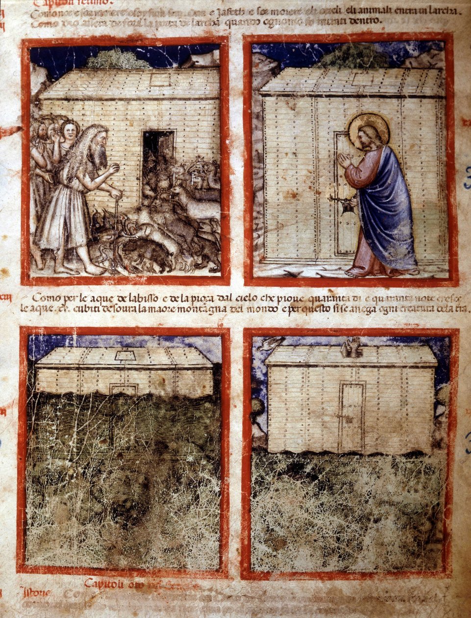 Noemova archa, miniatura převzatá z kodexu 212 (nebo Padovano Codice nebo Bible z Padovy) 1390-1400 Rovigo, Accademia dei Concordi od Italian School