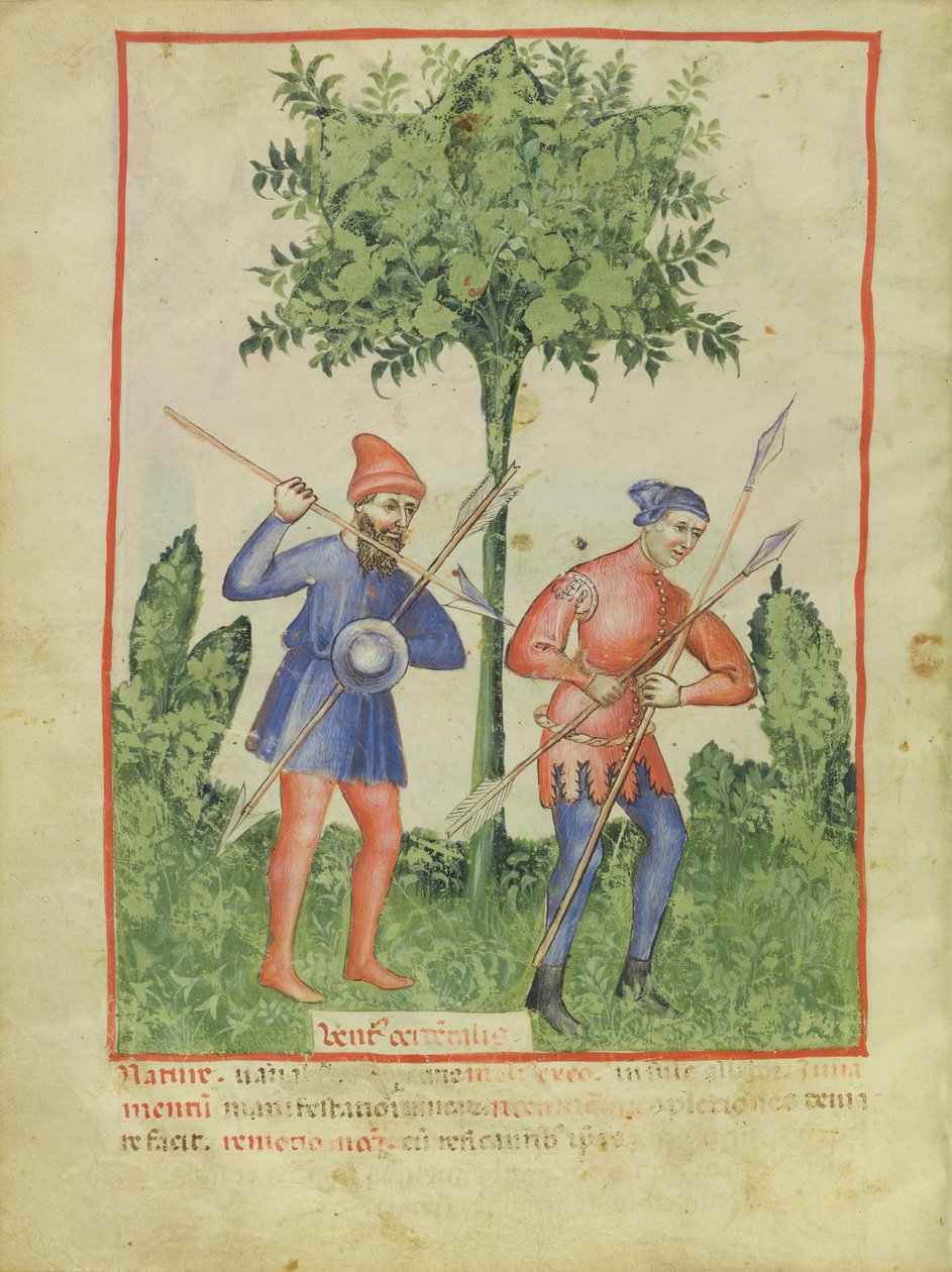 Nouv Acq Lat 1673 fol.100v The West Wind, from Tacuinum Sanitatis, c.1390-1400 od Italian School