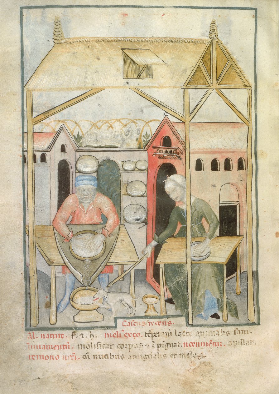 Nouv Acq Lat 1673 fol.58v Příprava sýra, z Tacuinum Sanitatis, asi 1390-1400 od Italian School