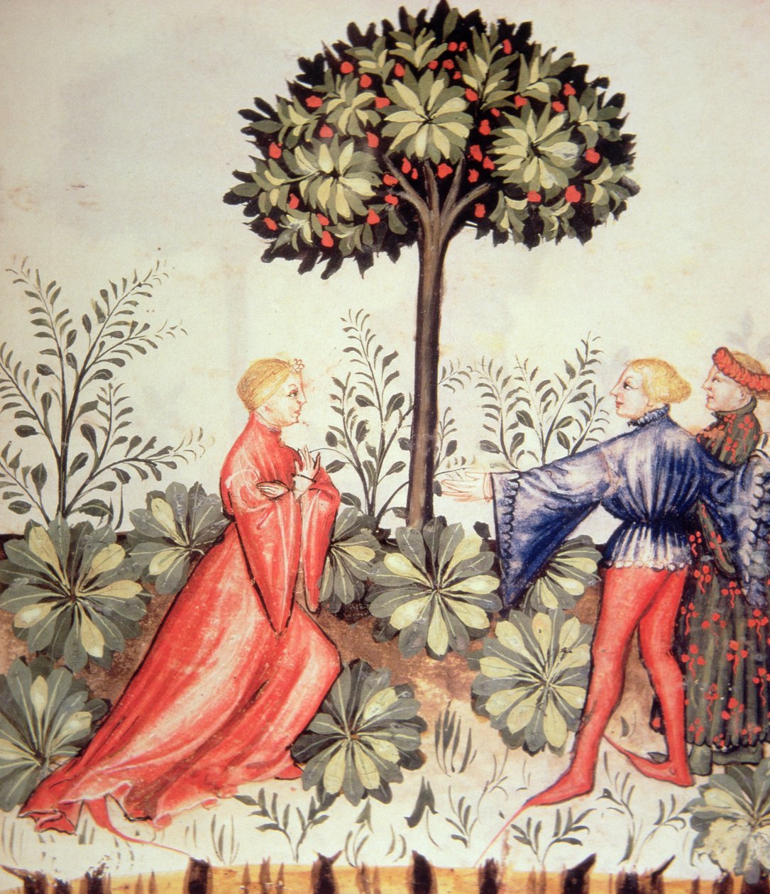 Nova 2644 fol.24r Sklizeň Hořčice, od Tacuinum Sanitatis od Italian School