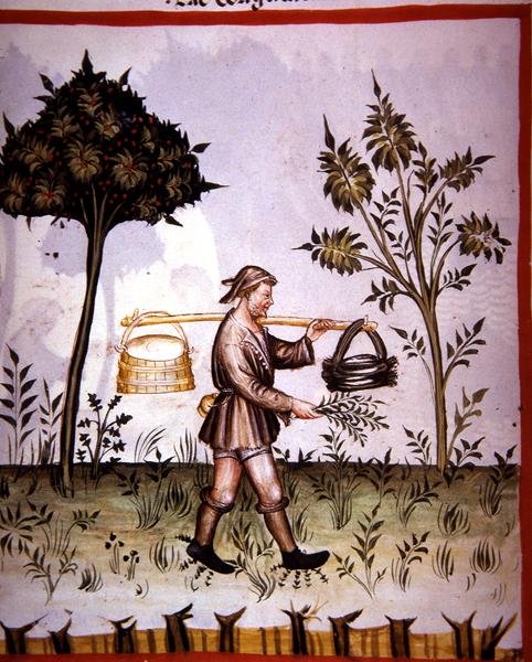 Nova 2644 fol.61v Kyselé mléko, z 