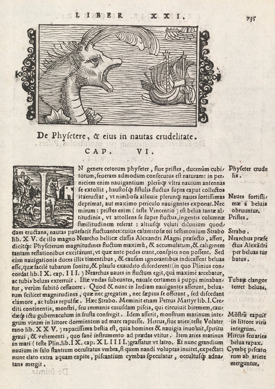 Strana 735 z Historie severu od Magnuse Olause, Řím 1565 (tisk a rytina) od Italian School