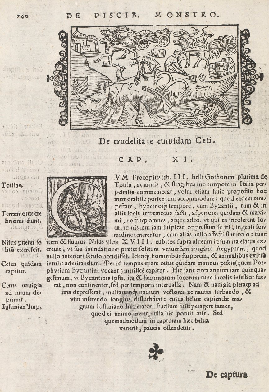 Strana 740 z Historie severu od Magnuse Olause, Řím 1565 (tisk a rytina) od Italian School