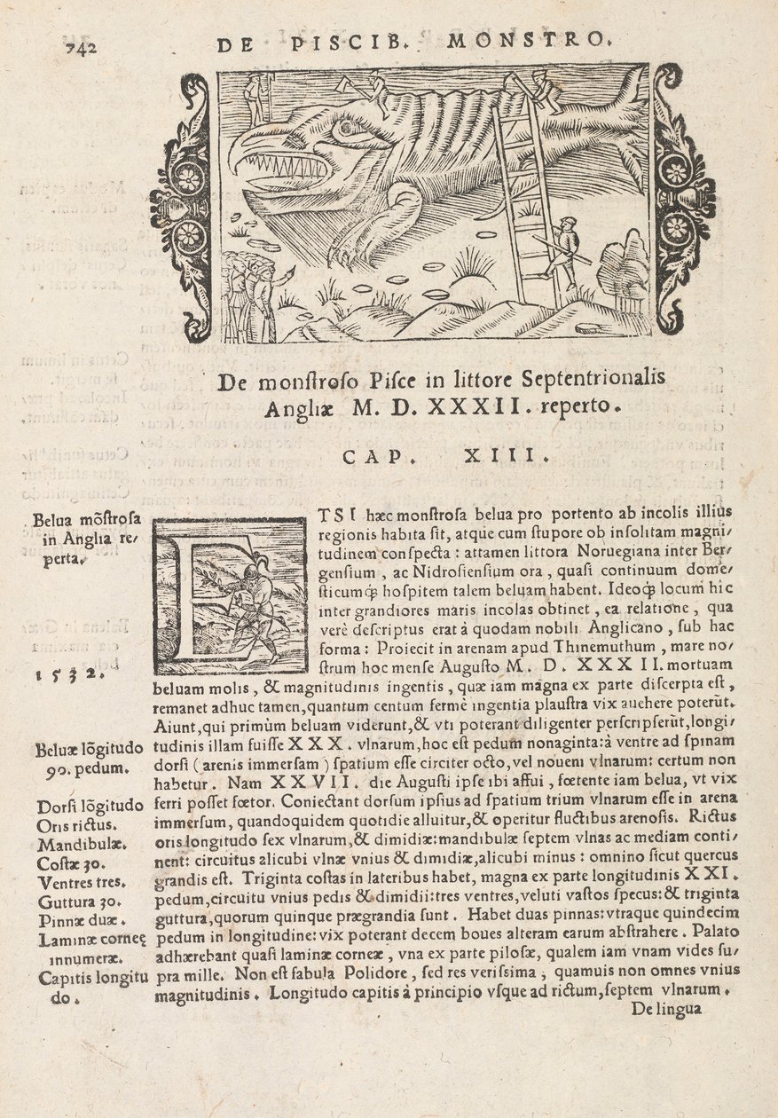 Strana 742 z History of the Northern Gentivus od Magnuse Olause, Řím 1565 (tisk a rytina) od Italian School