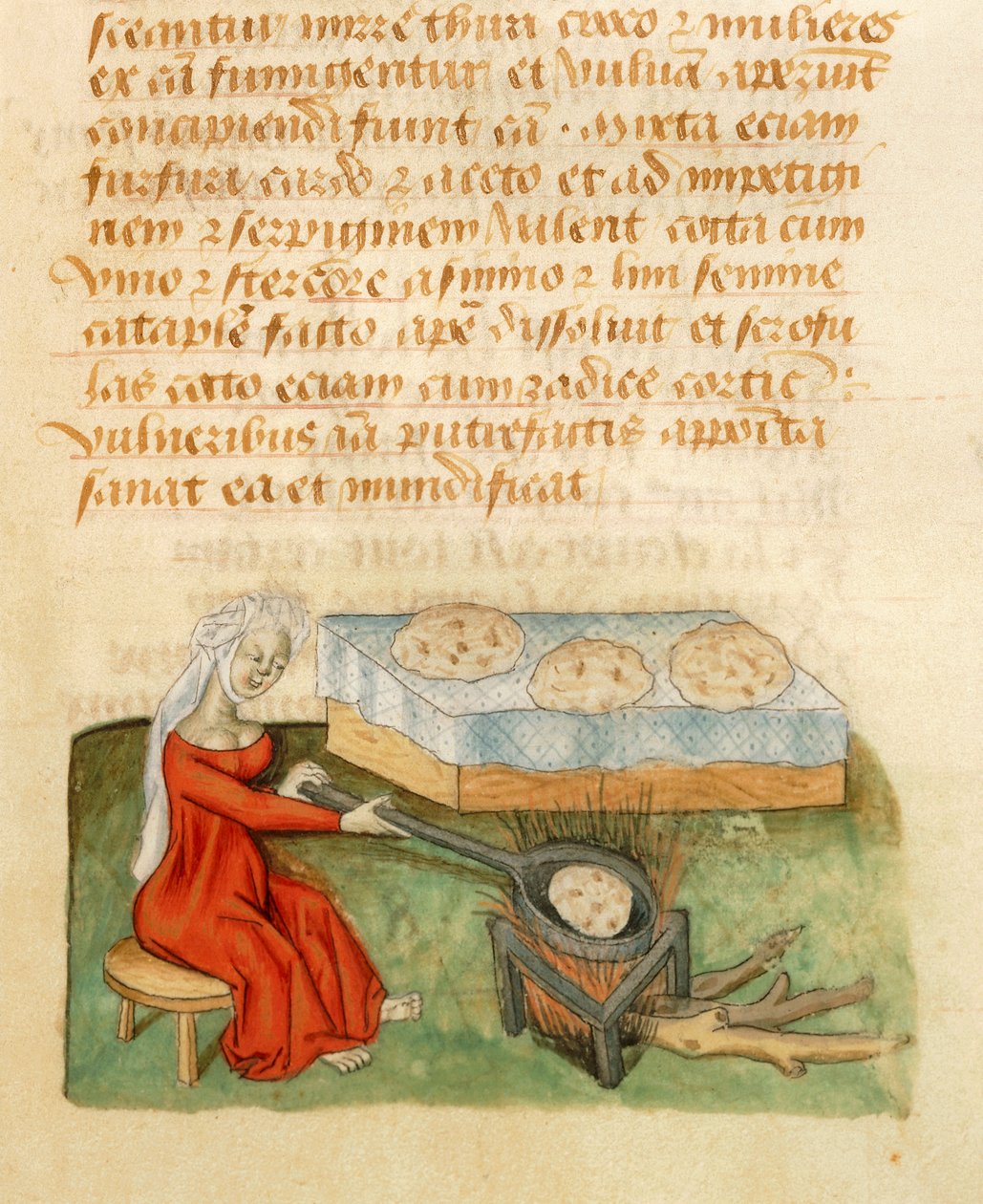 Stránka z Tractatus de Herbis od Dioscorides Pedanius od Italian School