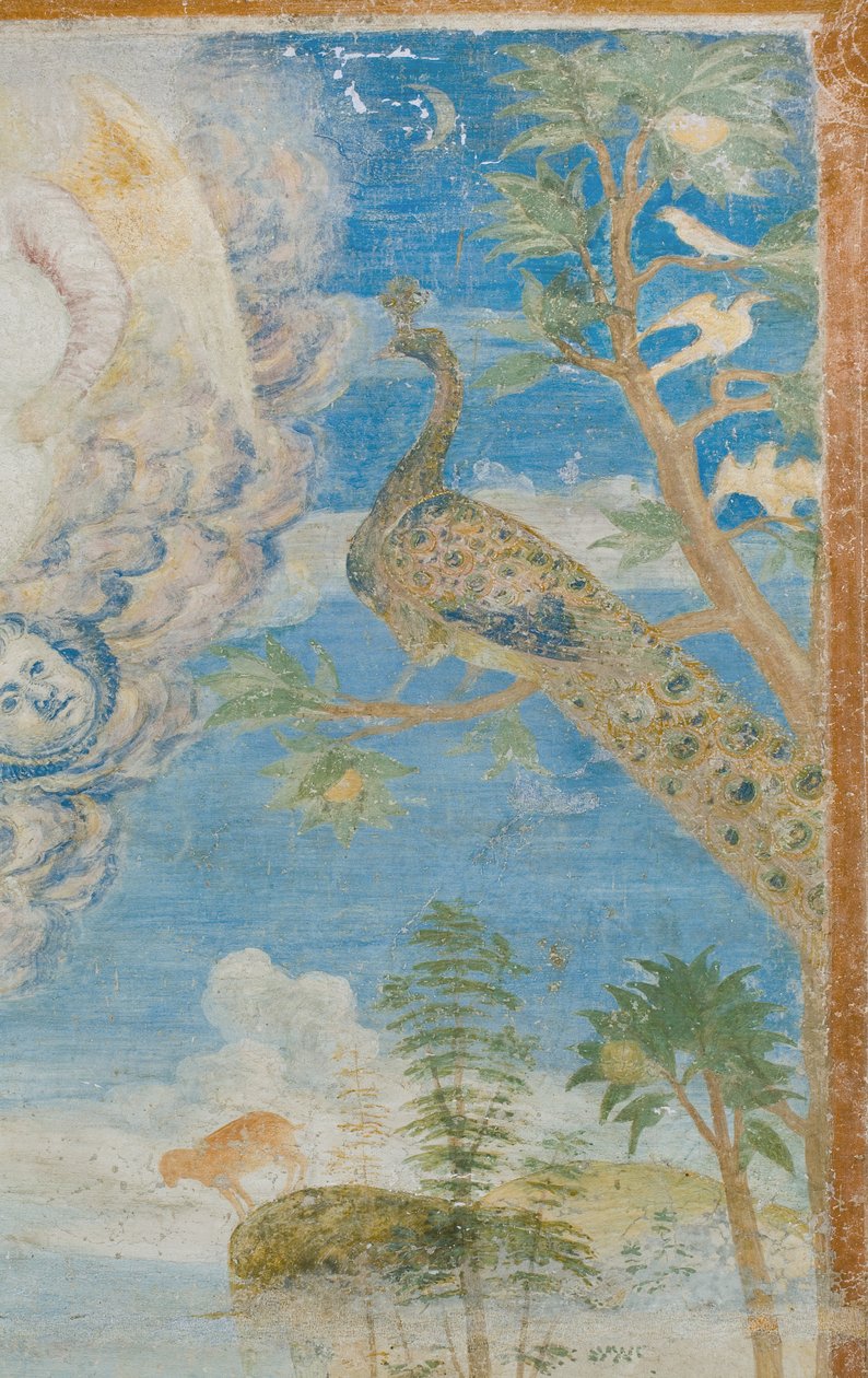 Páv, detail 3496206 od Italian School