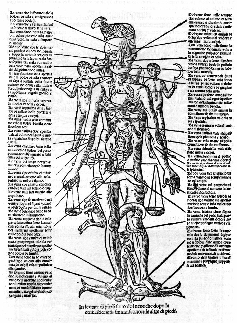 Deska představující lidské tělo s postavením všech orgánů a znameními zvěrokruhu, která jim svými astrologickými vlivy odpovídají. Plage čerpáno z „“ Recetoro di Galeno optio e probato a tutte le infirmita che accadeno a huomini e a donne di d od Italian School