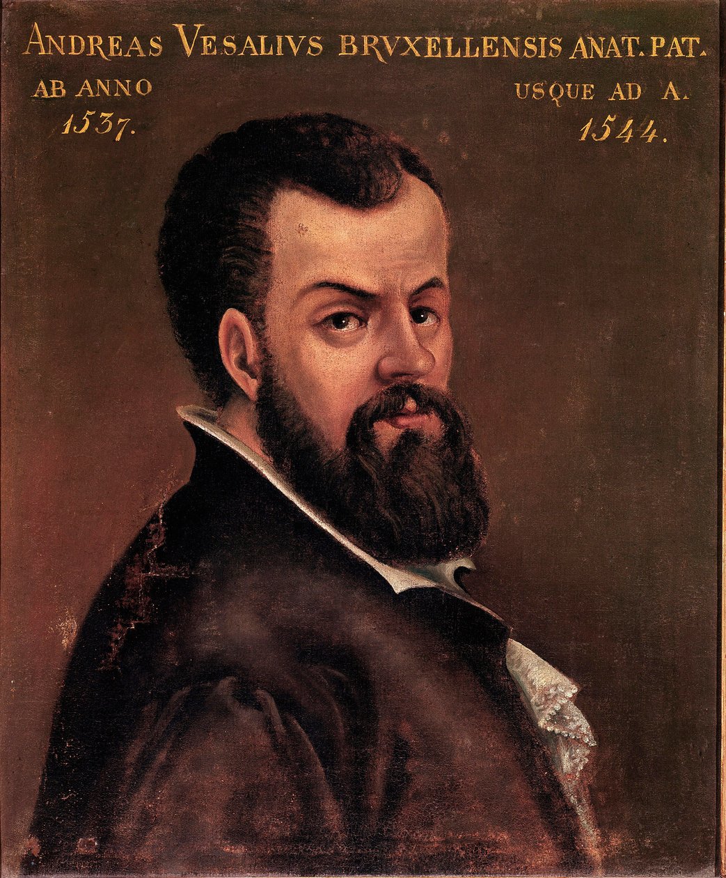 Portrét Andre Vesale (Andreas Vesalius) (1514-1564), anatom a lékař Karla V. anonymní malba italské školy. 16. století, Padova, univerzita od Italian School