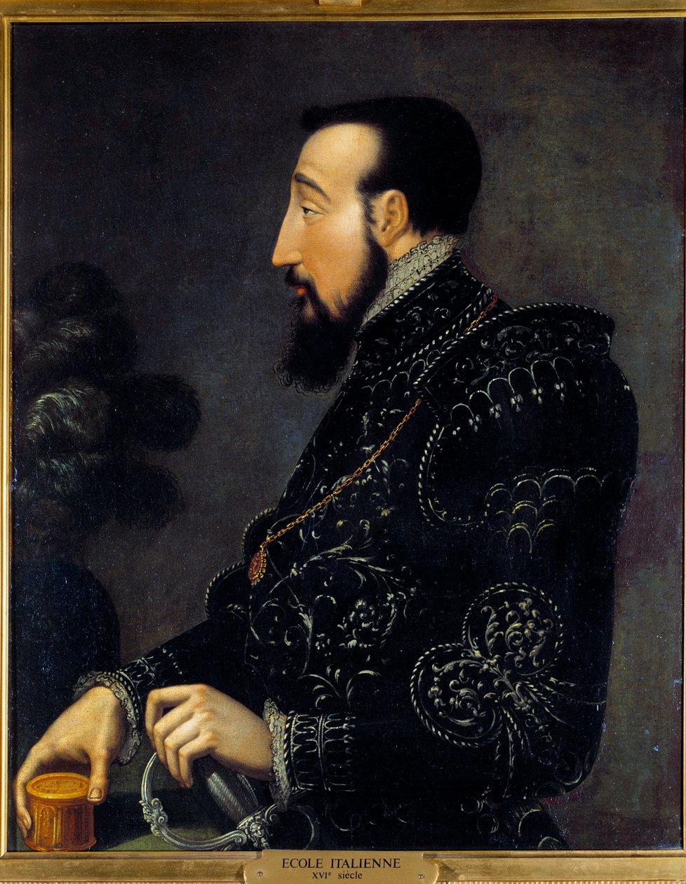 Portrét francouzského krále Jindřicha II. (1519-1559) Obraz italské školy. 16. století. Slunce 0,58x0,46 m Chantilly, muzeum Conde od Italian School