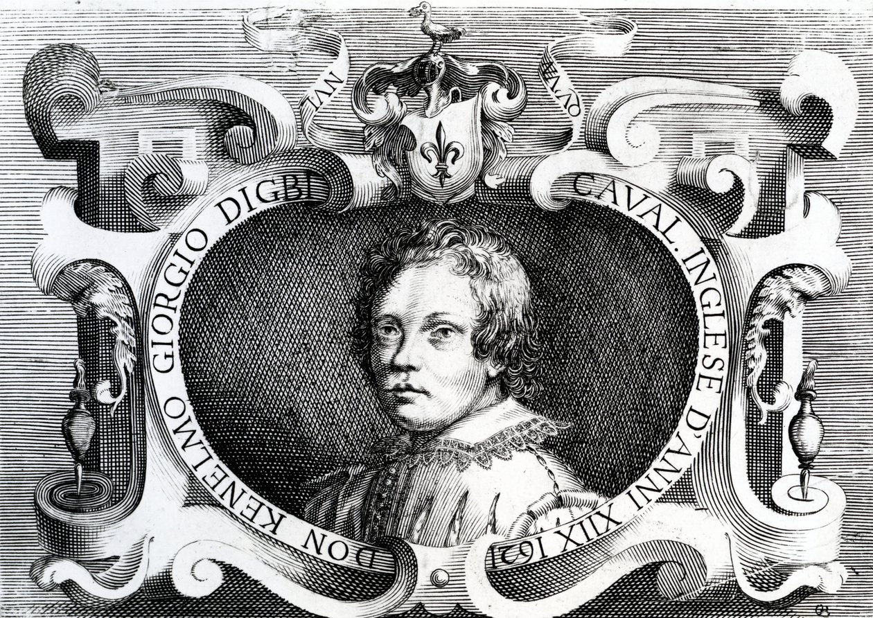 Portrét sira Kenelma Digbyho, 1621 od Italian School