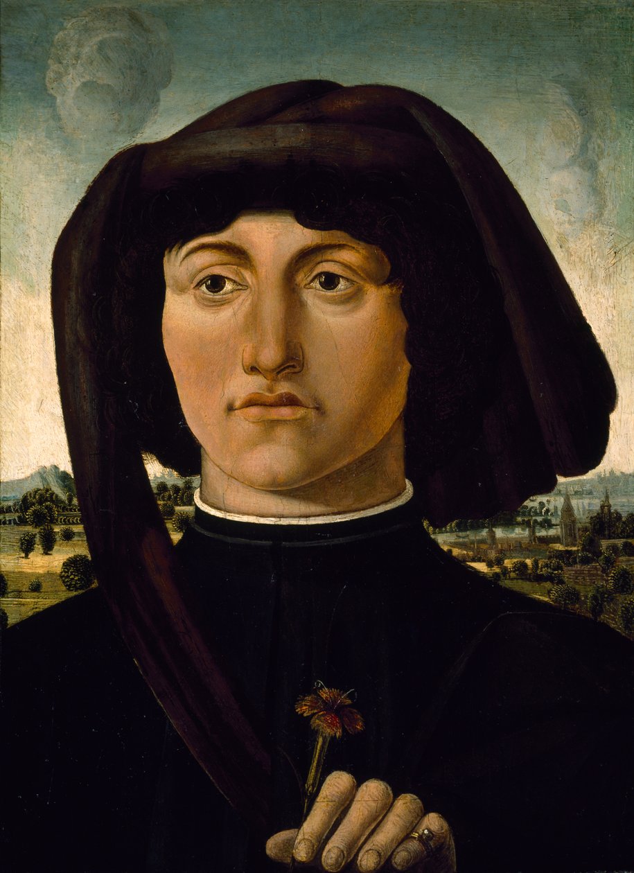 Portrét mladého muže s růžovým květem, cca 1475-85 (tempera na dřevě) od Italian School