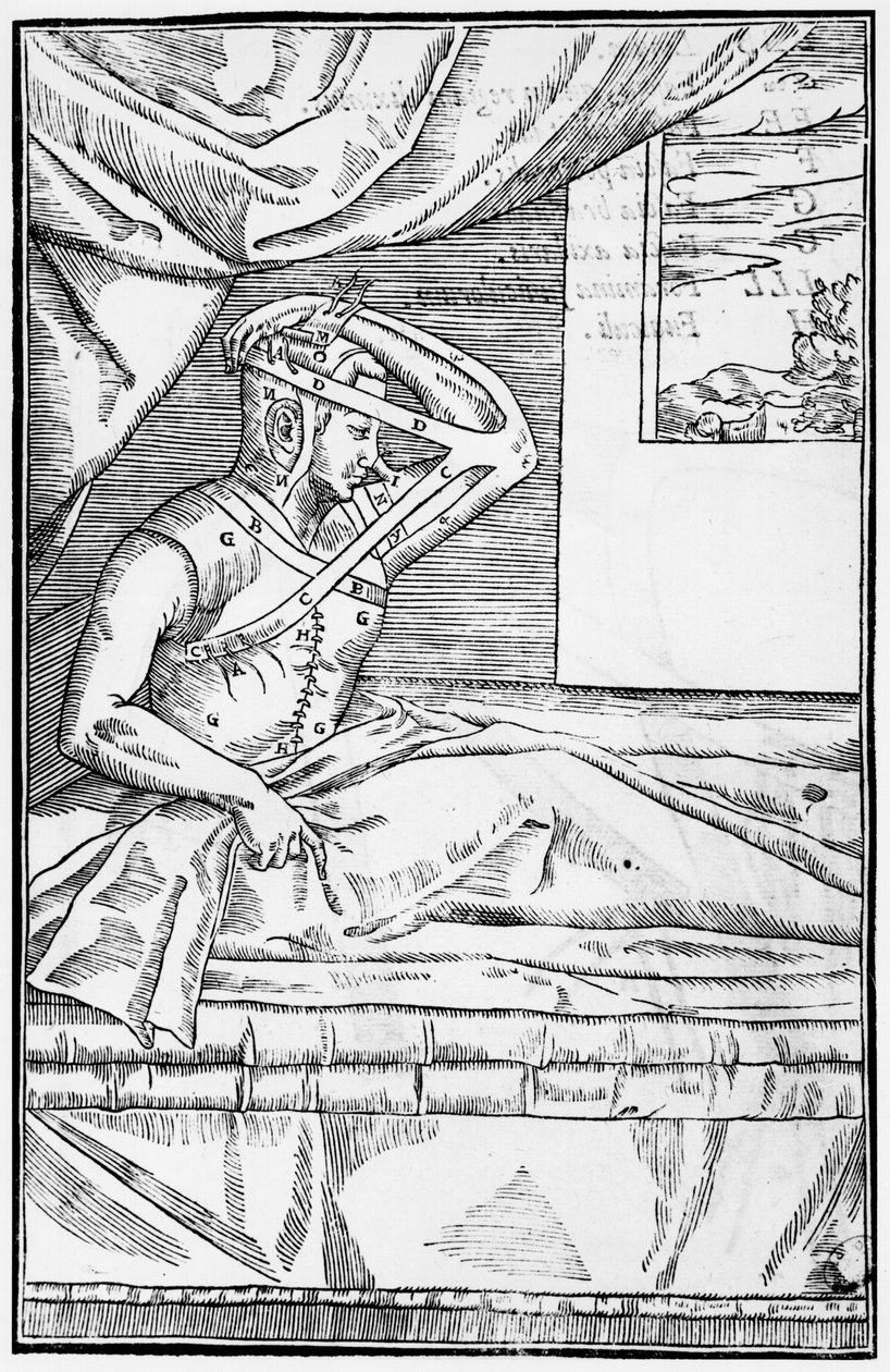 Rekonstrukční chirurgie na nose, ilustrace z De curtorum chirurgia per insitionem od Gaspare Tagliacozziho (1545-99) Benátky, vydáno 1597 od Italian School