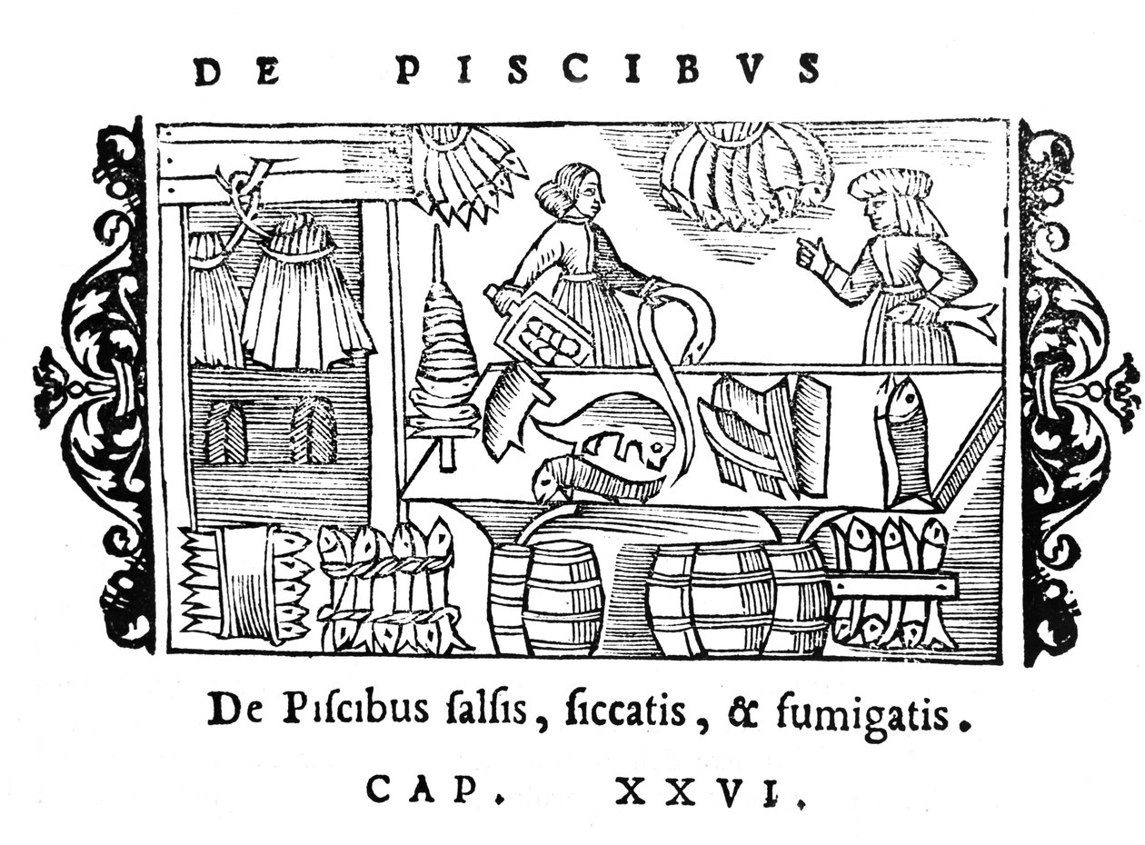 Solení, sušení a uzení ryb, ilustrace z Historia de Gentibus Septentrionalibus od Olause Magnuse (1490-1558), vydané v Římě, 1555 od Italian School